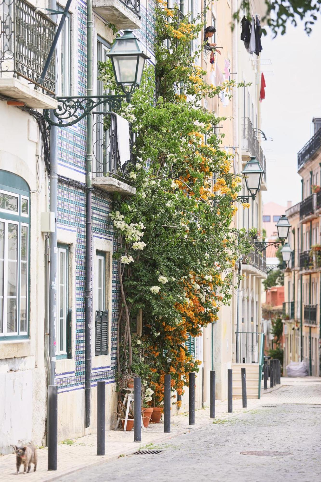 Bica Little House By Spoton Apartments Lisbon Room photo